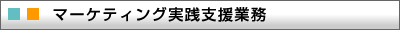 マーケティング実践支援業務