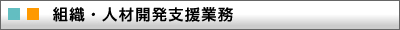 組織・人材開発支援業務